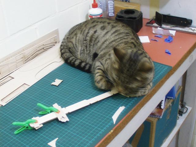 Model aircraft photo