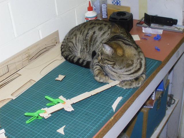 Model aircraft photo