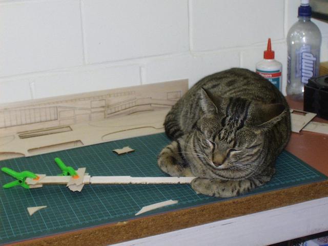 Model aircraft photo